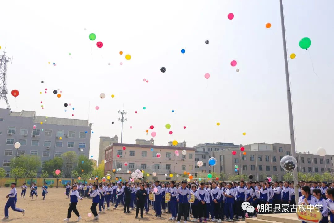 残疾人单板滑雪世界杯冠军_中国残疾人单板滑雪队_残疾滑雪冠军ted